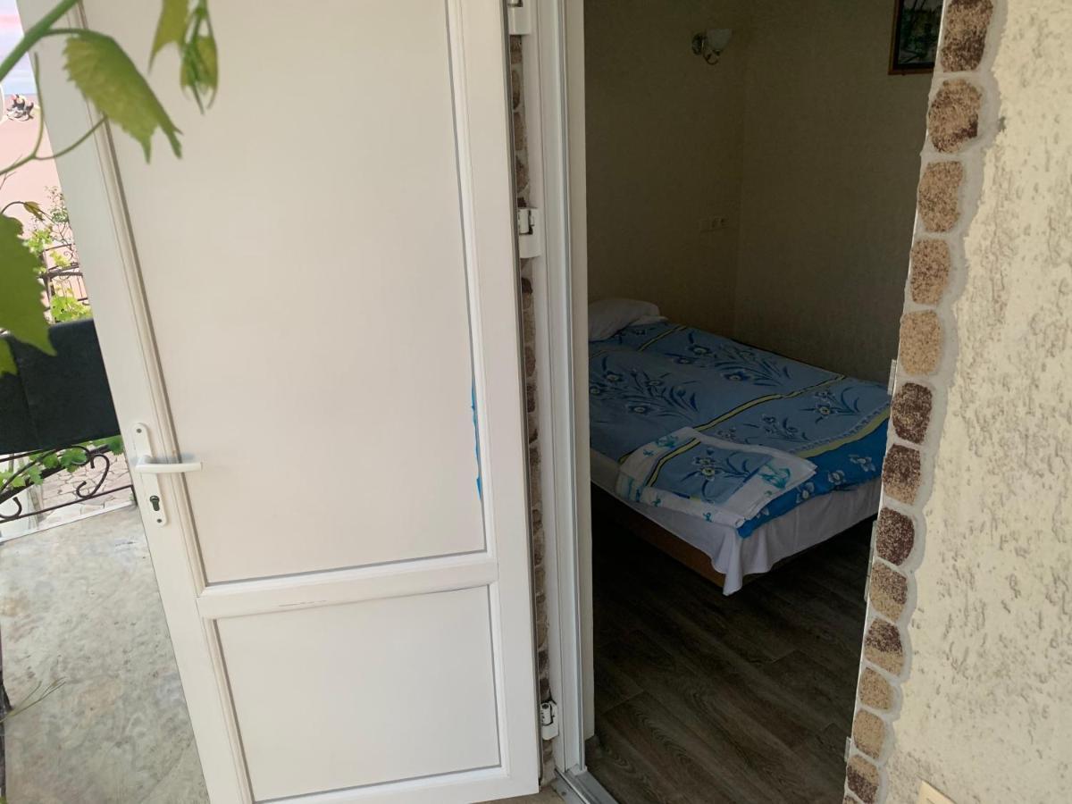 Guest House Dacha Nova Dofinivka Exterior photo